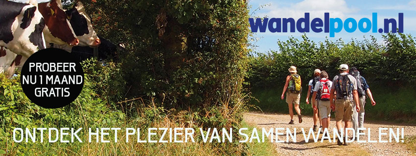 banner wp koeien groot