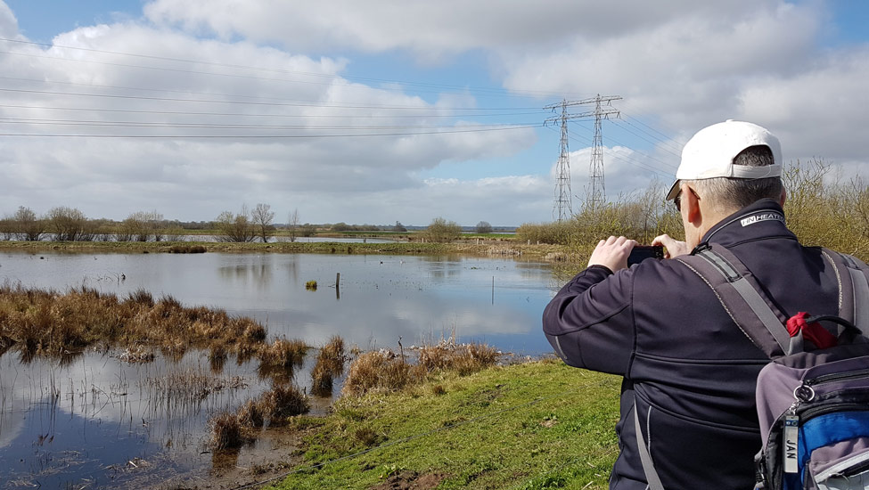 wandelnieuws westerbroekstermadepolder todn 2024
