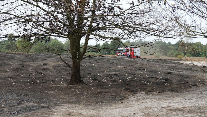 Foto: MaasduinenCentraal