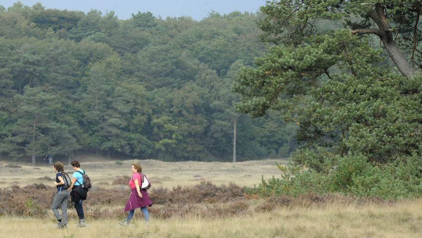 Foto: Park de Hoge Veluwe