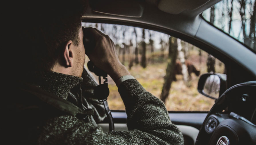 Foto: Melissa Scharroo Capribee