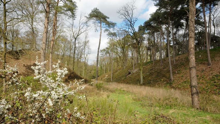 Foto: Stichting Het Limburgs Landschap / Henk Heijligers
