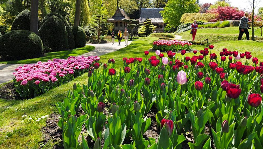 Foto: Kasteeltuinen Arcen