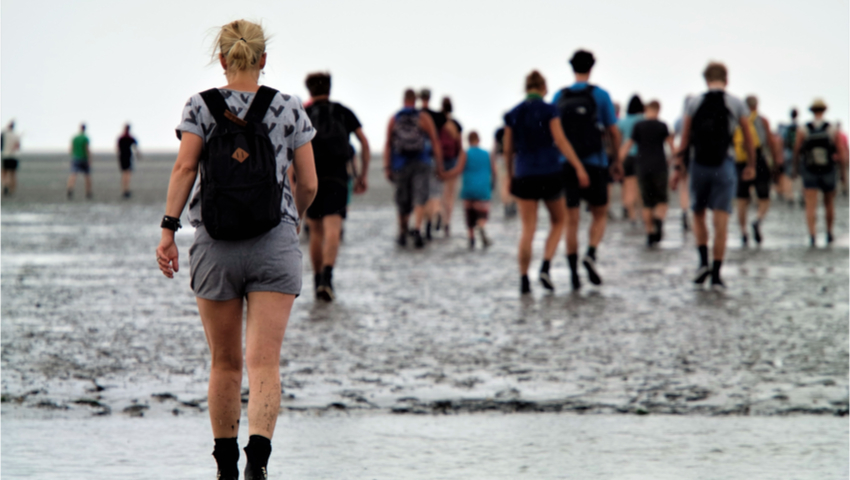 Foto: Marielle Verdoes-Kleijwegt