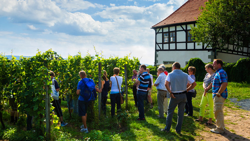 wandelnieuws weingutes radebeul hofloessnitz sylvio dittrich