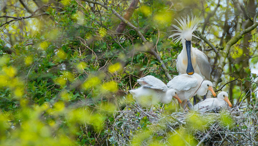 © foto Edwin Giesbers