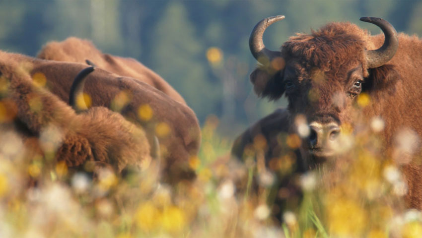 © foto Shutterstock