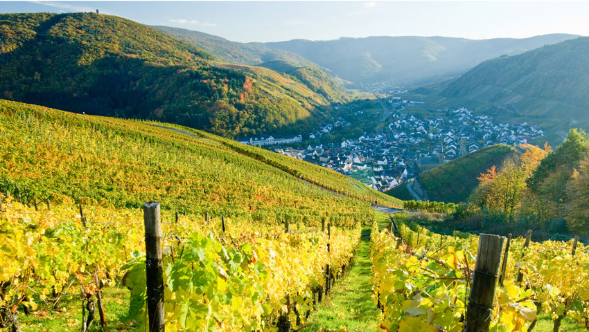 Uitzicht Ahrdal © Rheinland-Pfalz Tourismus GmbH / Dominik Ketz