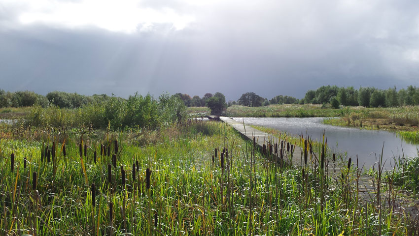 © foto Utrechts Landschap