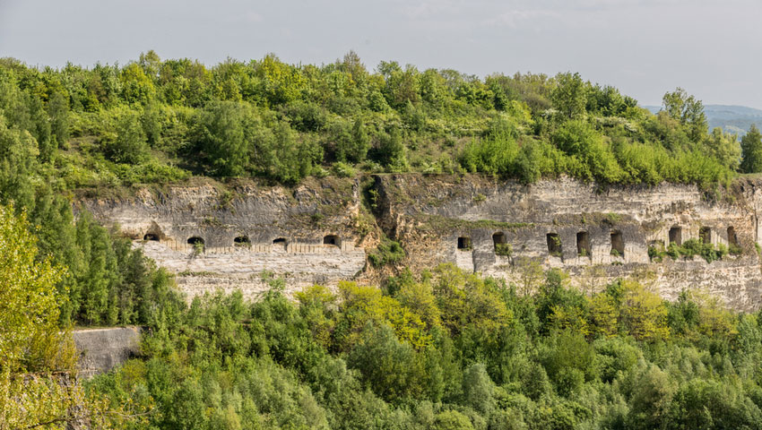 © foto Shutterstock