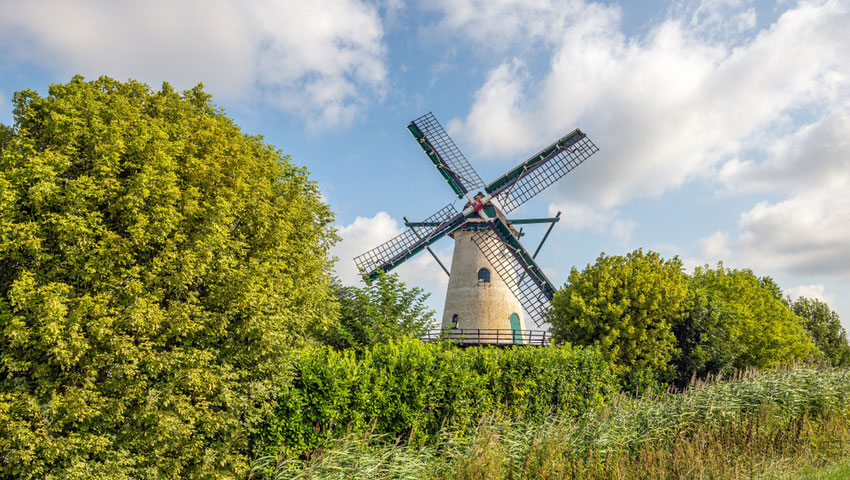 © foto Shutterstock