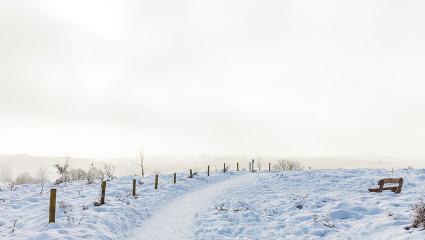 © foto Shutterstock