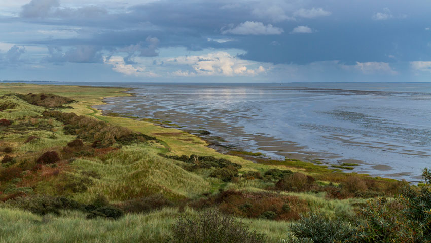 © Het Oerd - foto Dirk Hilbers