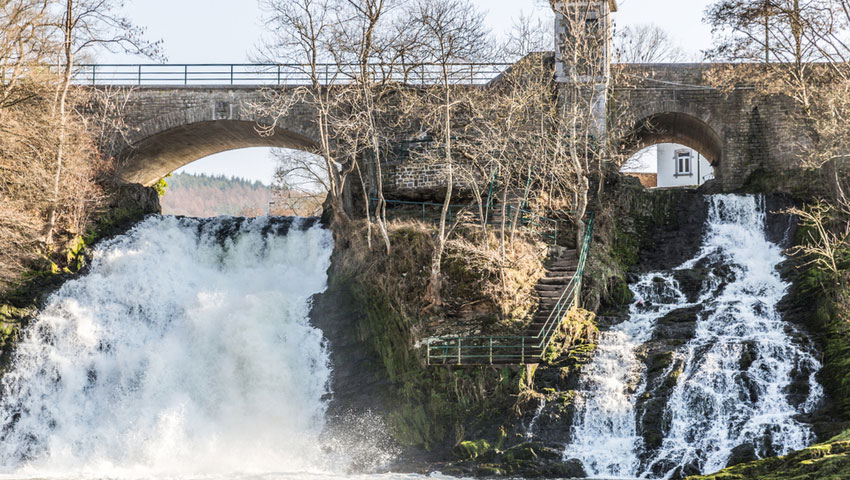 © foto Shutterstock