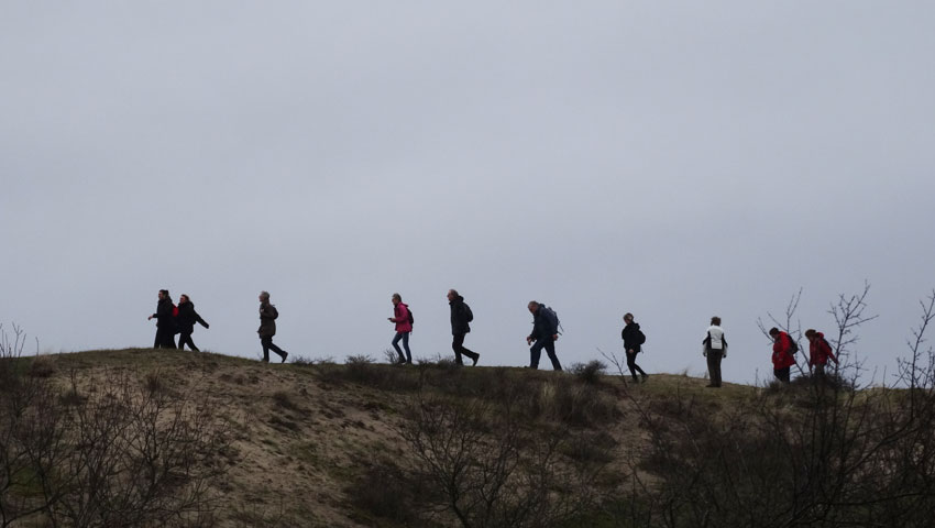 © foto Martien Reddingius