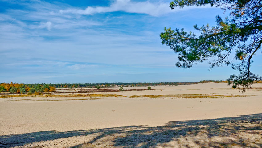 © foto Shutterstock