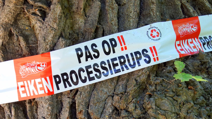 © foto Shutterstock