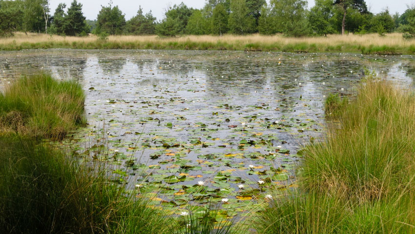 © foto Shutterstock