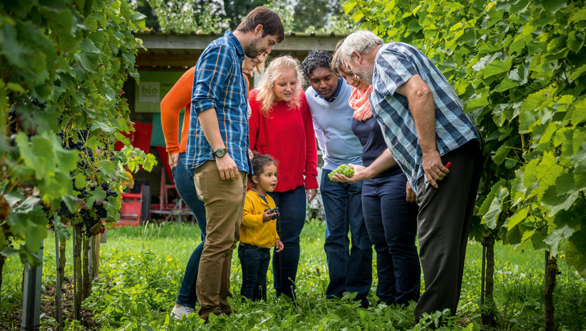 © foto Lander Loeckx