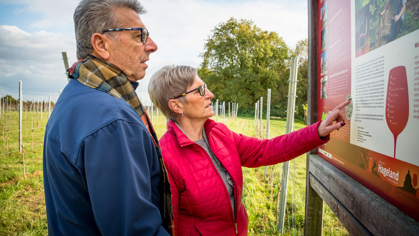 wandelnieuws wijndomeinen houwaart lander loeckx