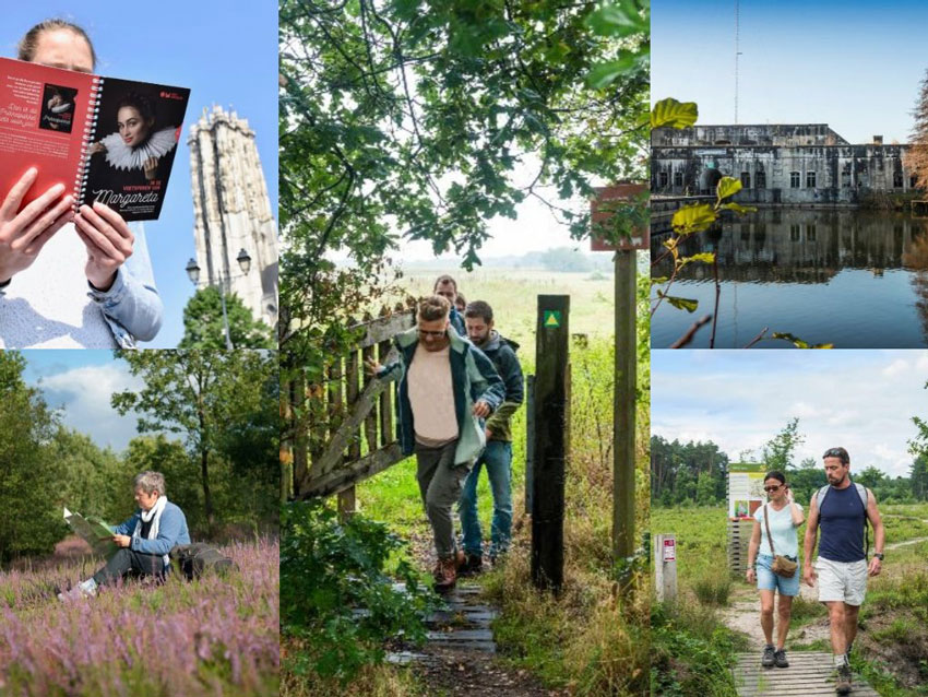 wandelnieuws collagekandidaten