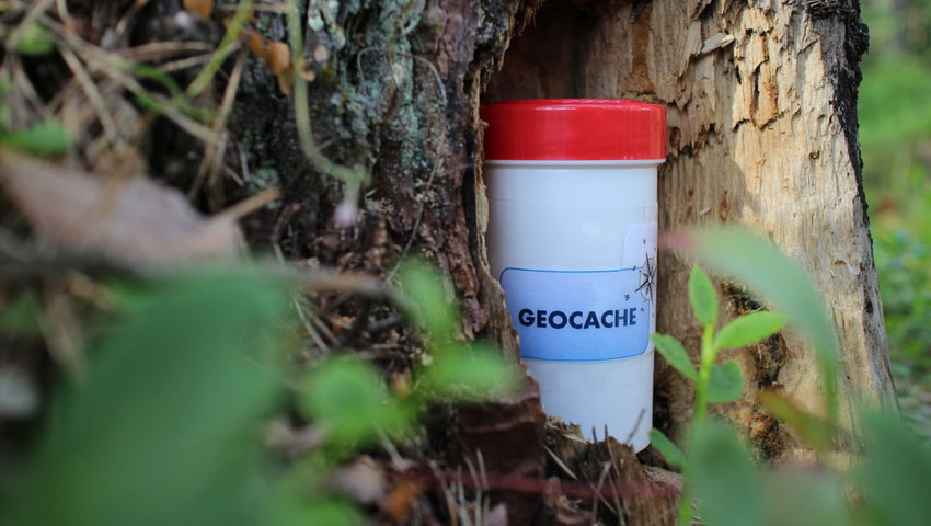 © foto Shutterstock