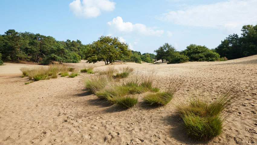 © foto Shutterstock