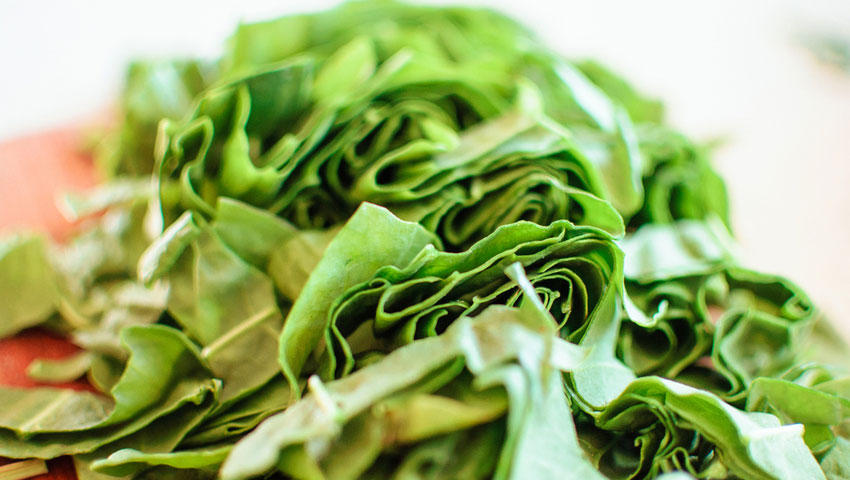 © foto Shutterstock