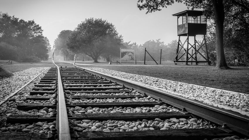 © foto Shutterstock