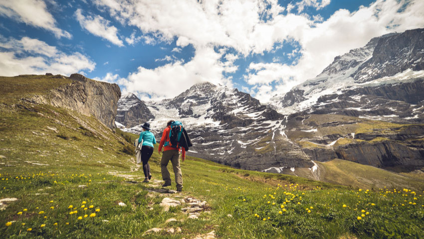 © foto Shutterstock