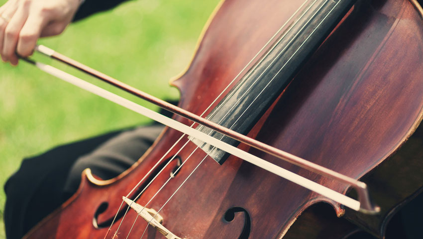 © foto Shutterstock