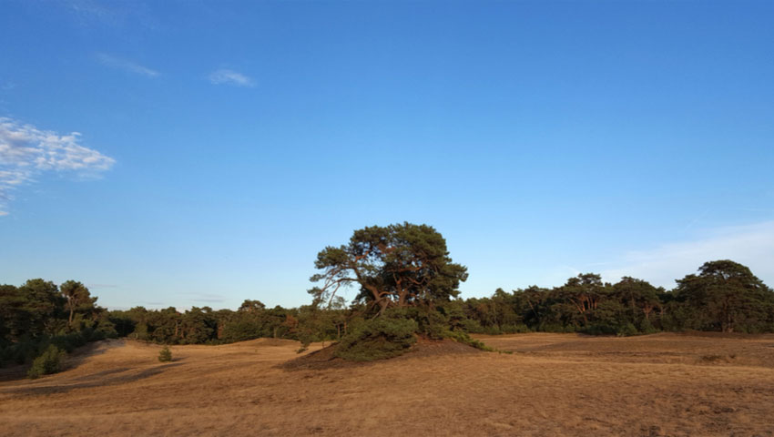 © foto Shutterstock