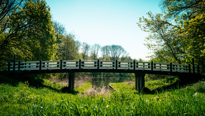 Amsterdamse Bos © foto Shutterstock