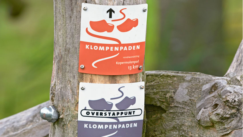 © foto Shutterstock