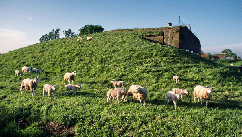 © foto Jos Theeuwisse