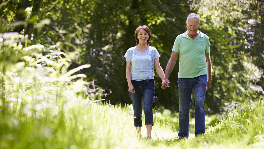 © foto Shutterstock