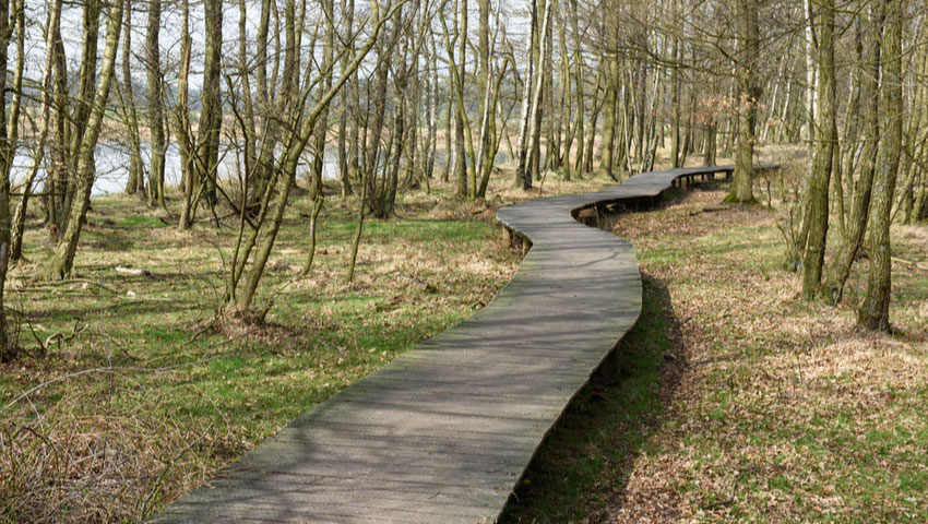 © foto Shutterstock