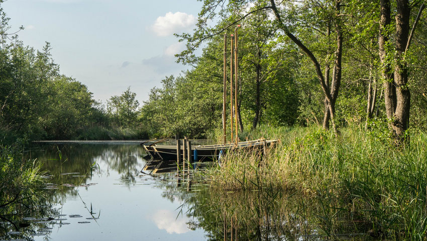 Weerribben © foto Shutterstock