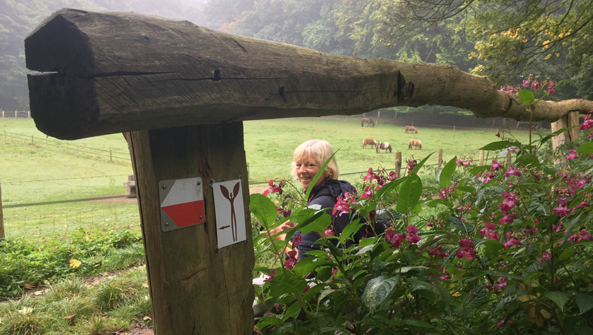 wandelnieuws walkofwisdom 1