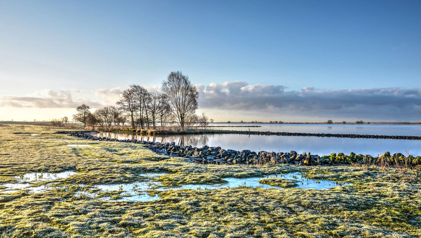 © foto Shutterstock