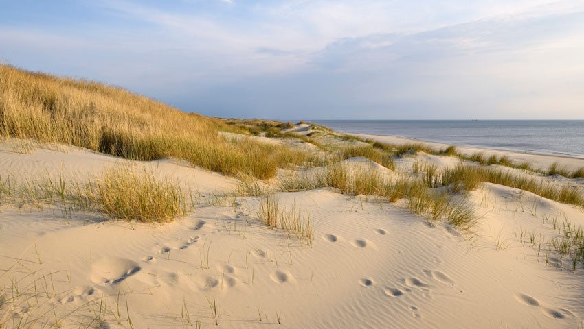 © foto Ronald van Wijk