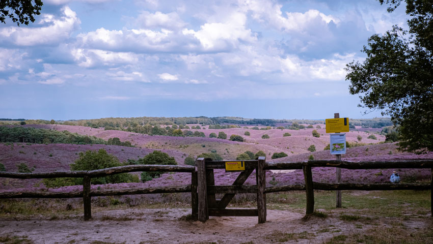 © foto Shutterstock