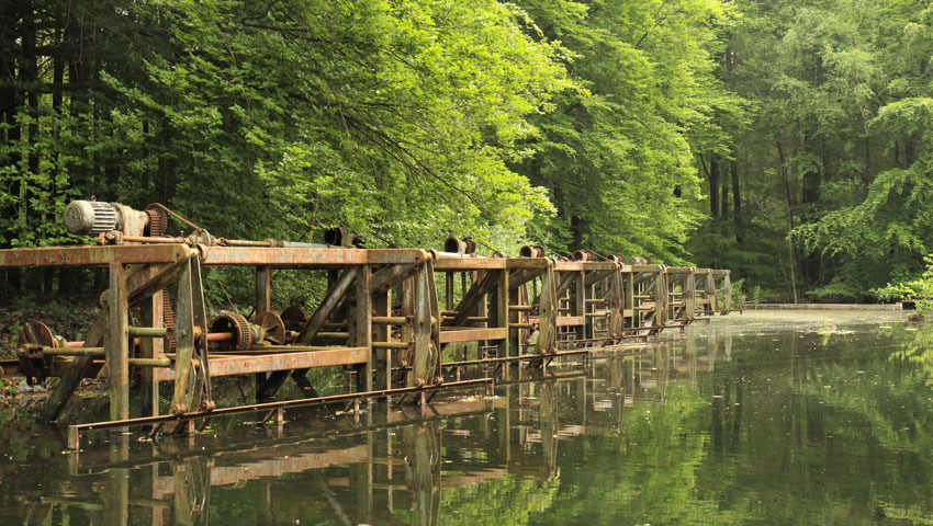 Waterloopbos © foto Wandelnet - Luuk Gijselhart