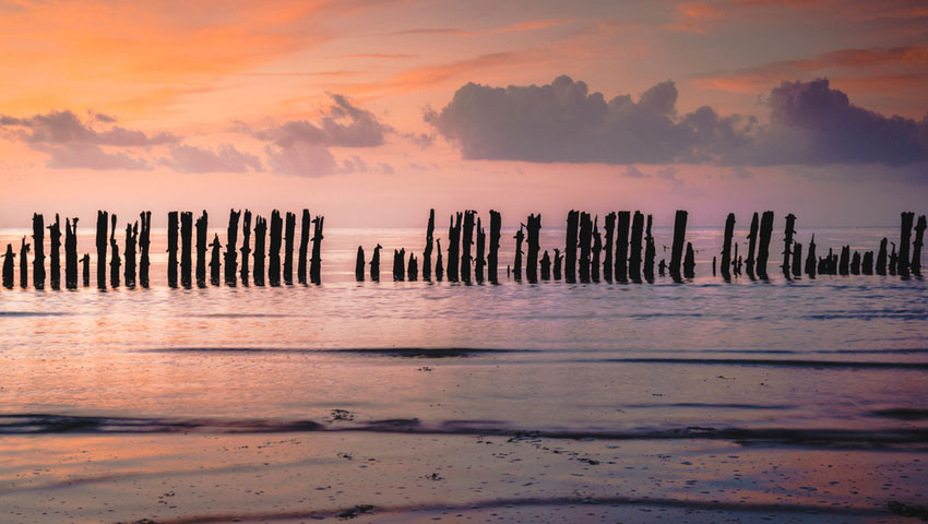 © foto Shutterstock