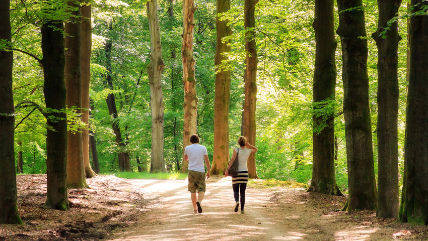 © foto Shutterstock