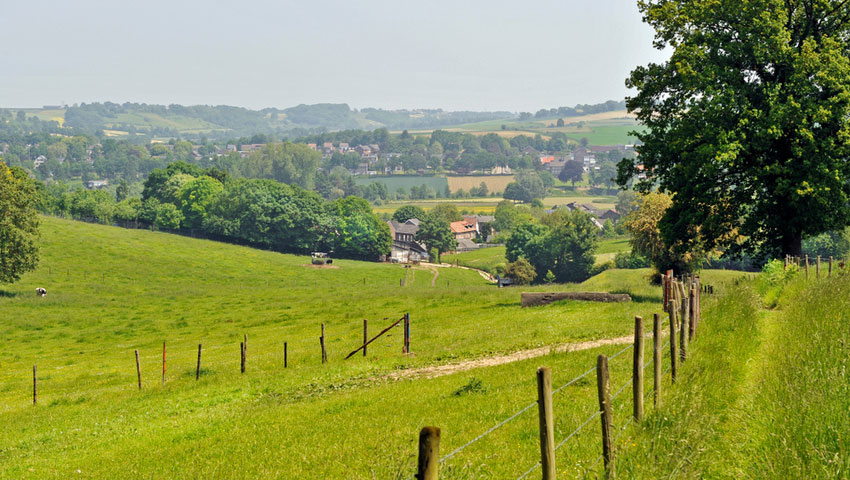 © foto Shutterstock