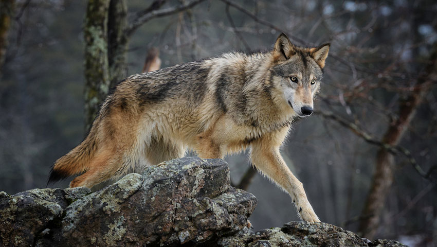 © foto Shutterstock