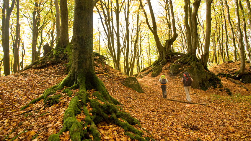 rp 13082020 eifelrlp1