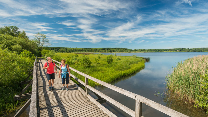 Wandelen bij Dreifelder Weiher © foto Rheinland-Pfalz Tourismus GmbH / Dominik Ketz
