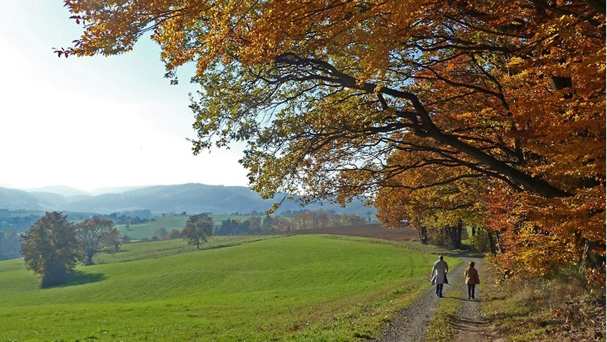 © foto Odenwald Tourismus GmbH